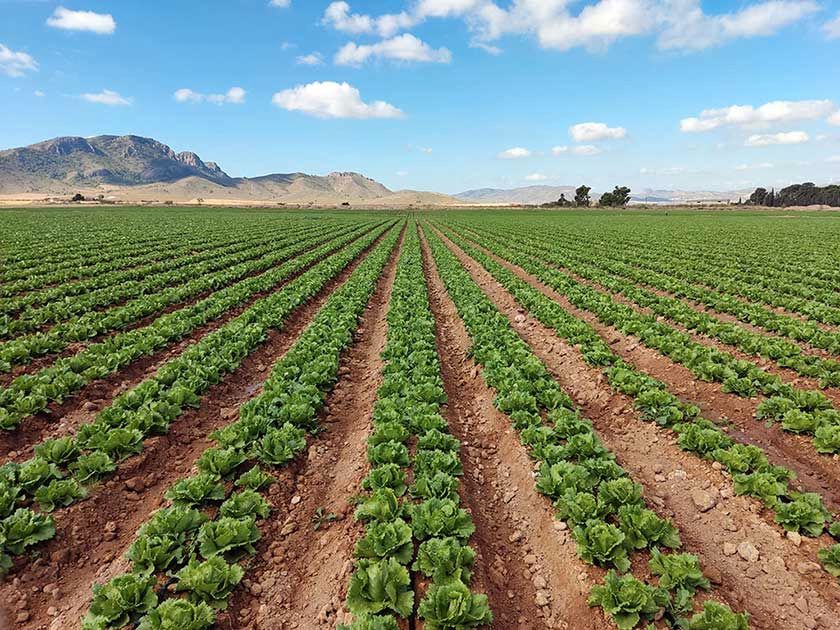Außenansicht von Grundstücke zur Miete in Tudela