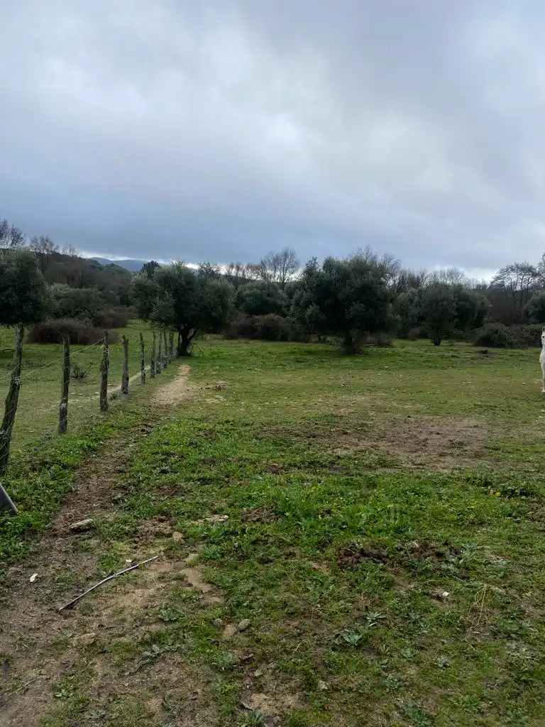 Terreni e lotti in vendita a Sotillo de la Adrada, imagen 6
