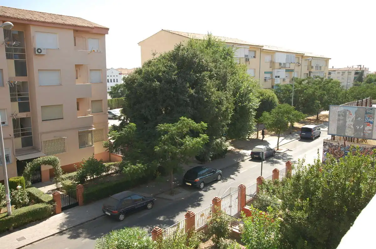 Vista exterior de Piso para compartir en Granada con Amueblado