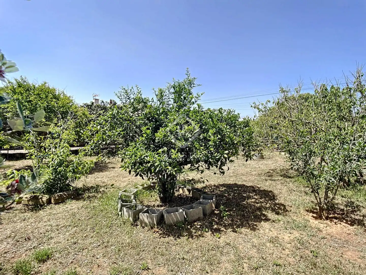 Villa avec piscine à vendre à Sant Climent - Es Canutells, imagen 9
