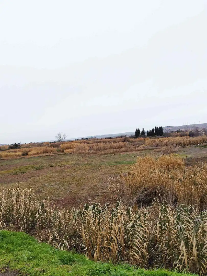 Terreno en venta en Fontellas