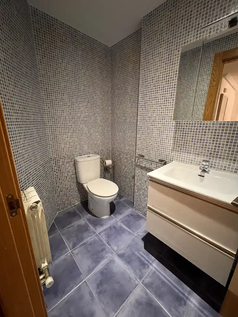 Baño de Dúplex en venta en San Andrés del Rabanedo