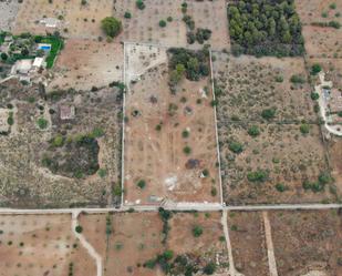 Land for sale in Manacor