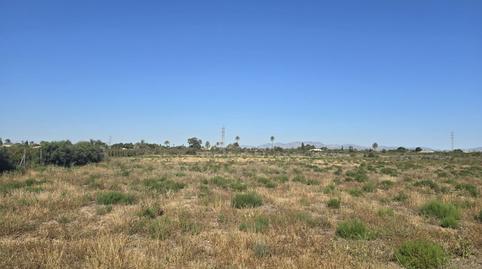 Foto 3 de Residencial en venda a Partida de Perleta , Perleta - Maitino, Elche / Elx