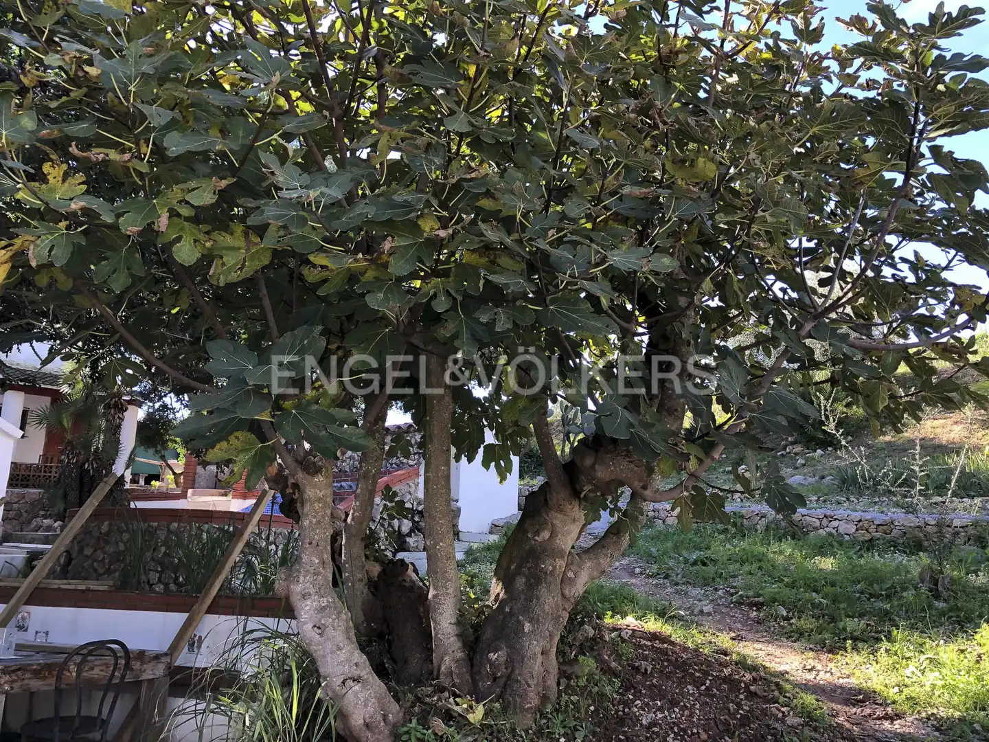 Jardín de Edificio en venta en Vilanova i la Geltrú