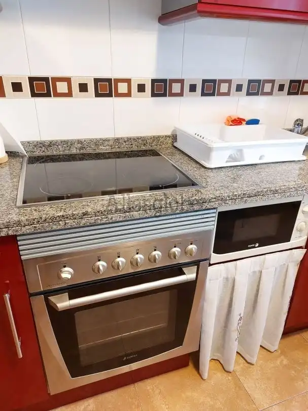 Flat with lift to rent in Calle Vicente Aleixandre, imagen 26