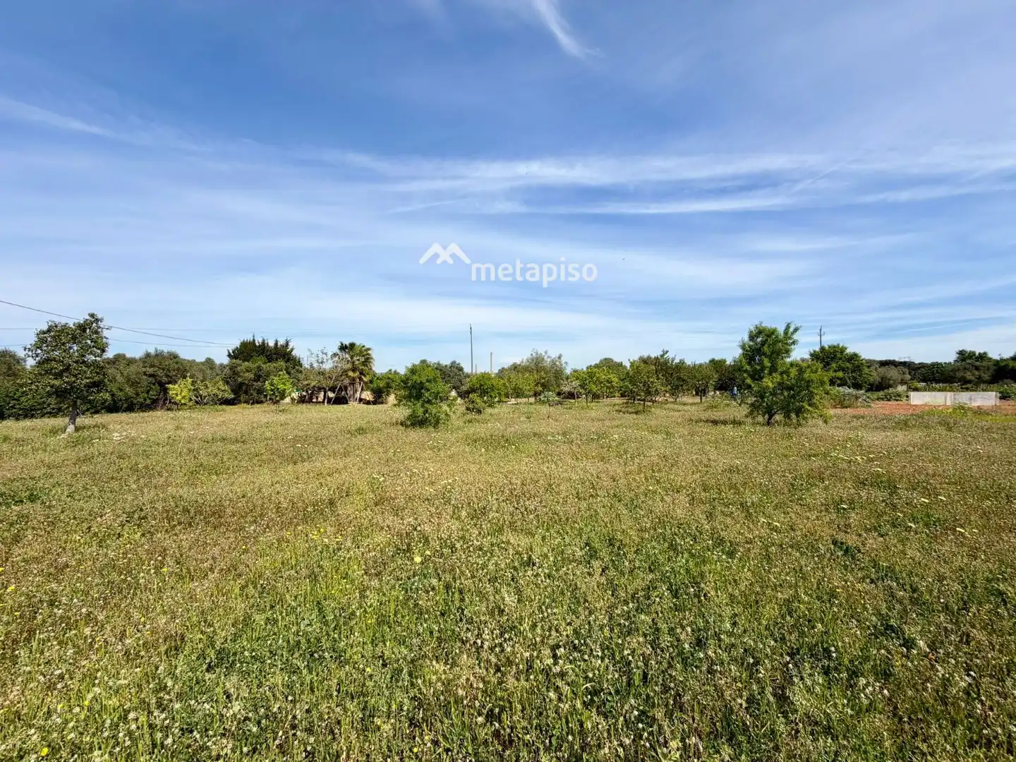 Terreno rustico in vendita a Santa Oliva, imagen 62