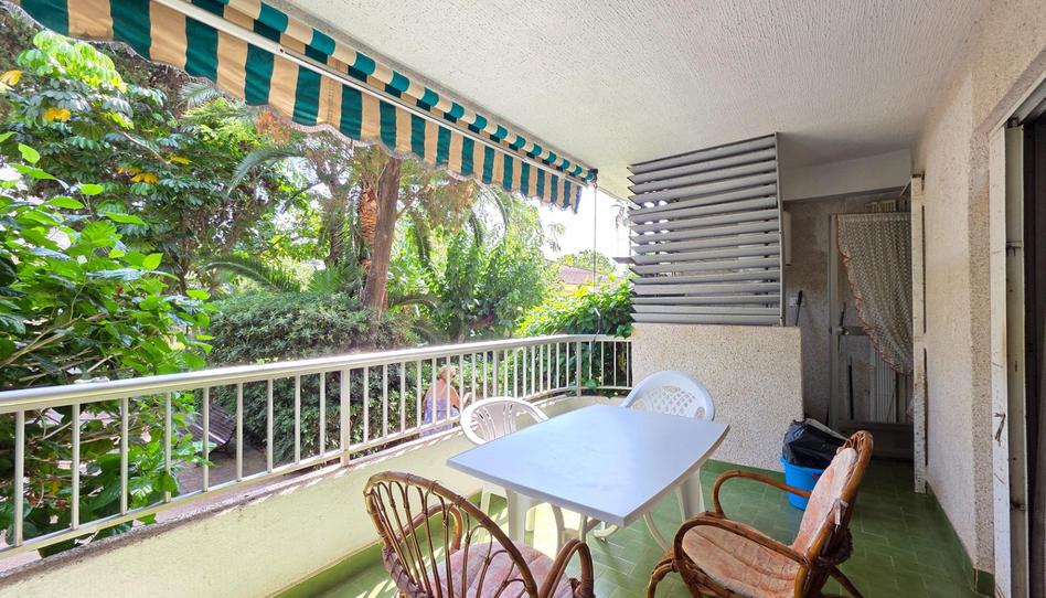 Foto 1 de Piso de alquiler en Playa de Gandia, Valencia