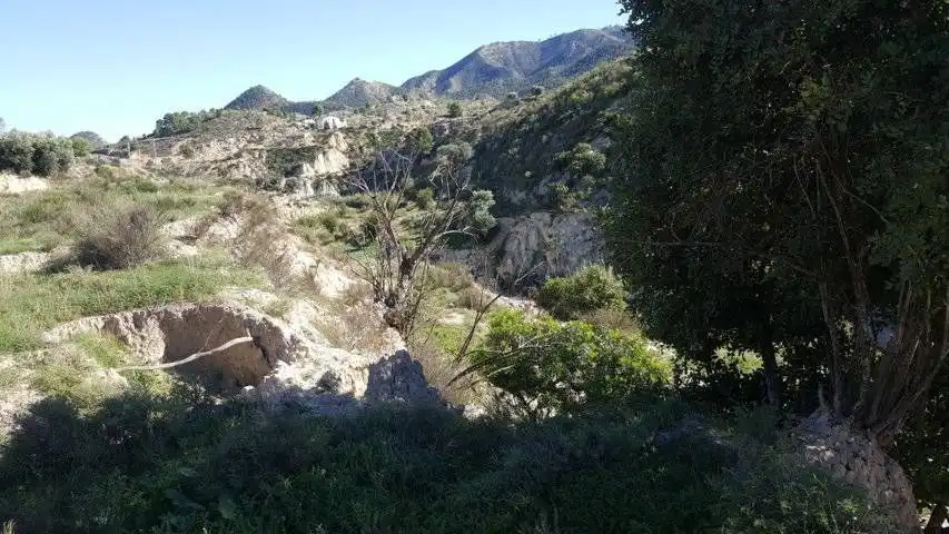 Vista exterior de Finca rústica en venta en Ricote
