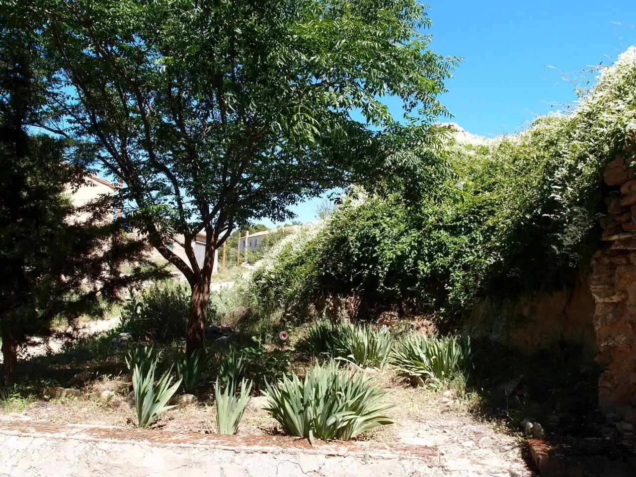 Garden of Houses for sale in Calatayud  with Heating