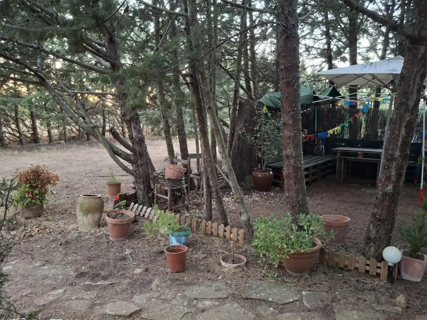 Jardí de Finca rústica en venda en Barásoain amb Jardí privat i Piscina