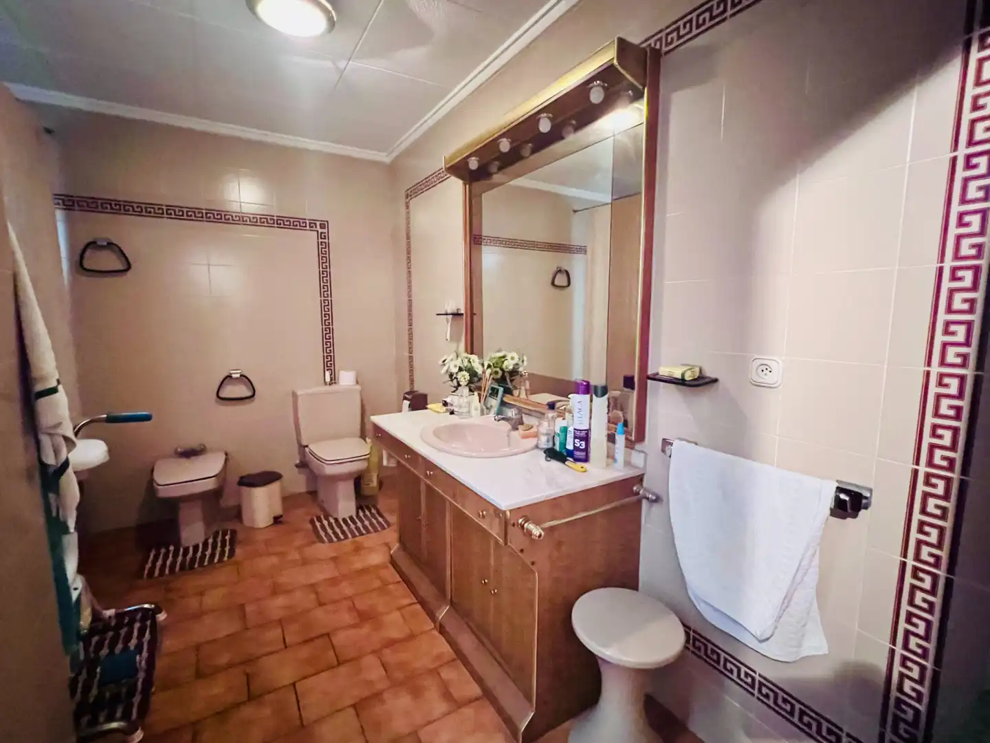Baño de Casa o chalet en venta en Petrer, Alicante