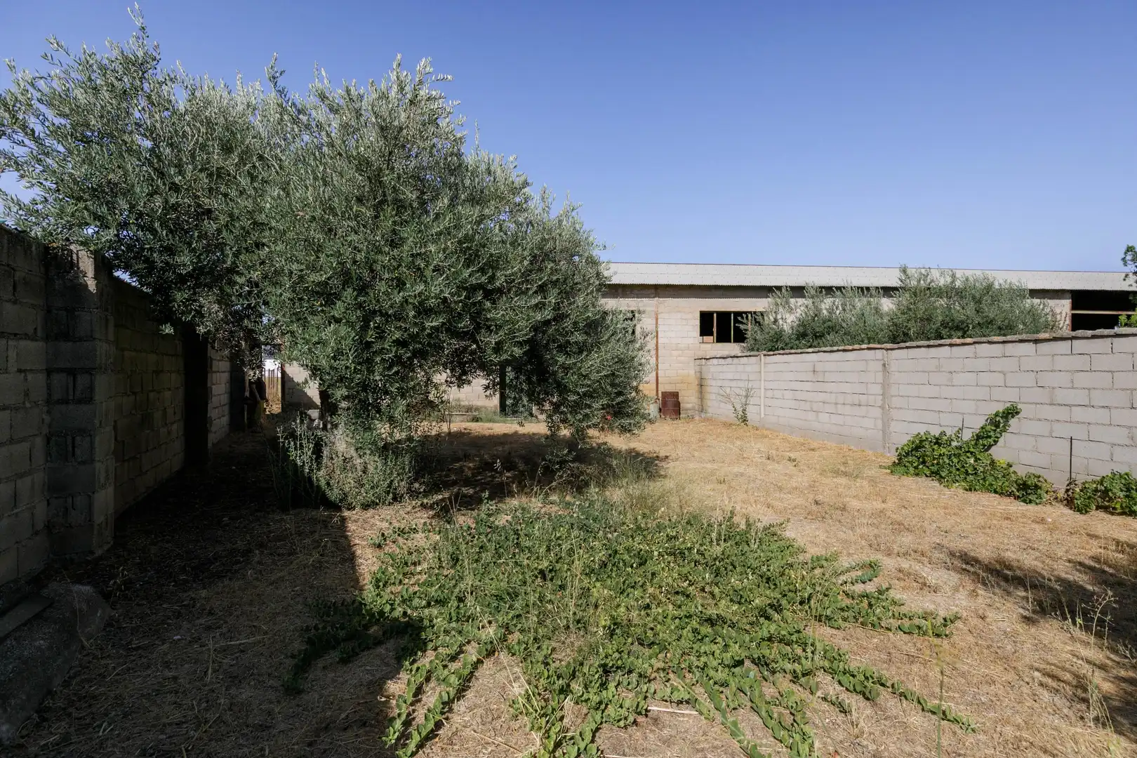 Terreny residencial en venda a 7, imagen 11