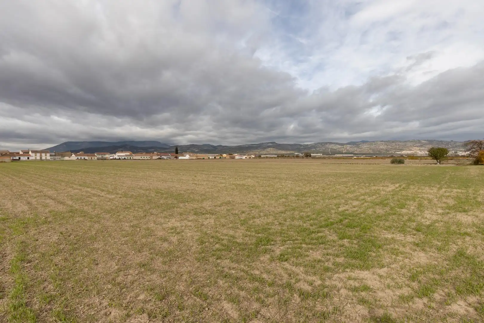 Terrenos y solares en venta en Calle Calle de Sol, imagen 12