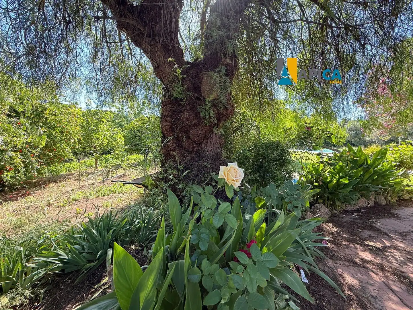 Jardí de Casa o xalet en venda en Puerto Real amb Aire condicionat, Terrassa i Traster