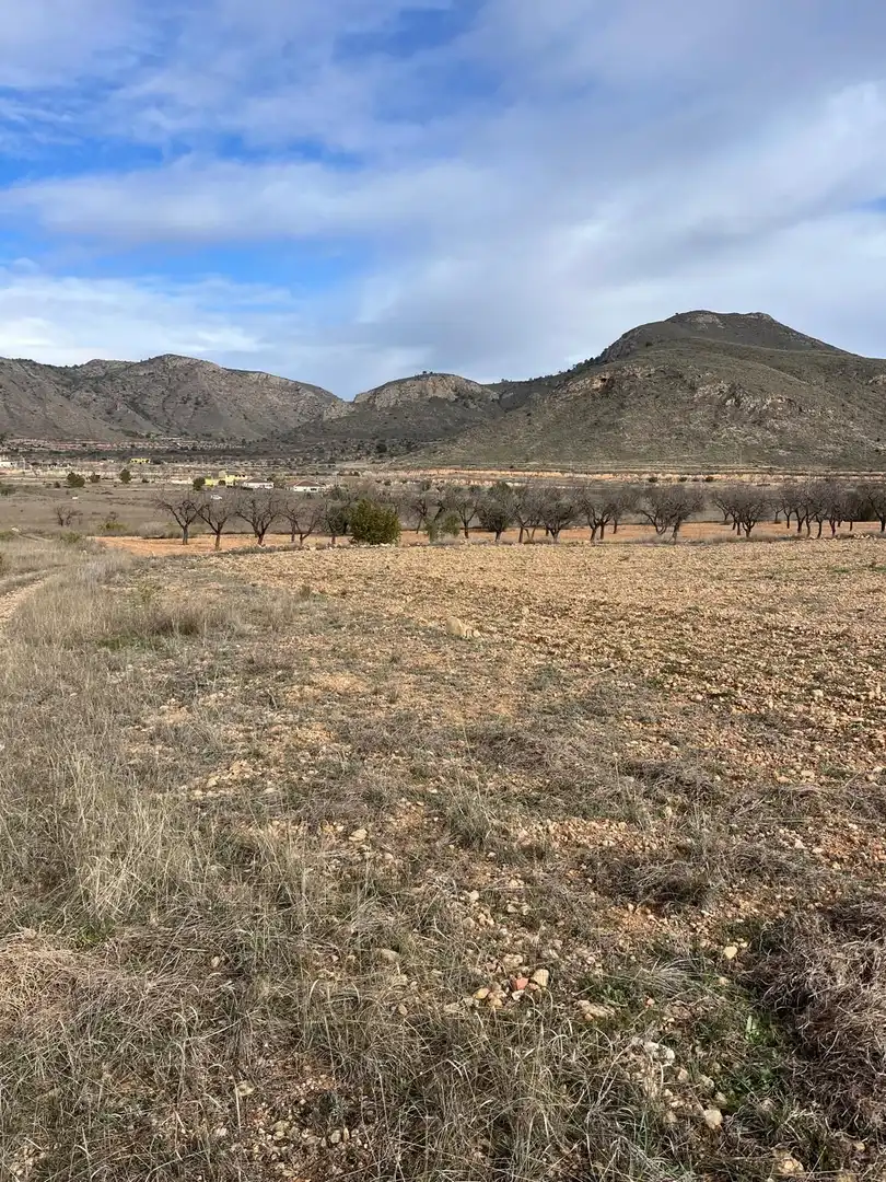 Residencial en venta en Hondón de los Frailes