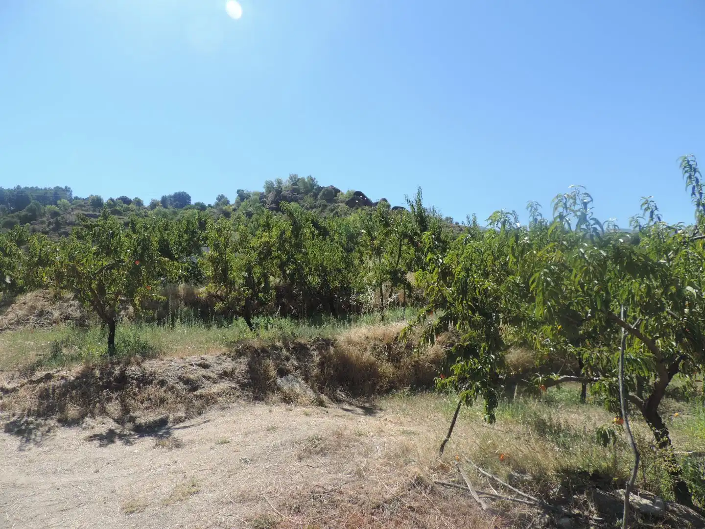 Land for sale in Burgohondo