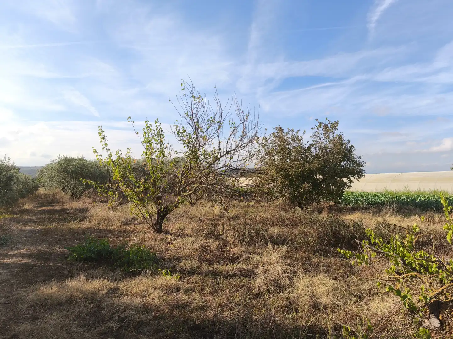 Land for sale in  Logroño