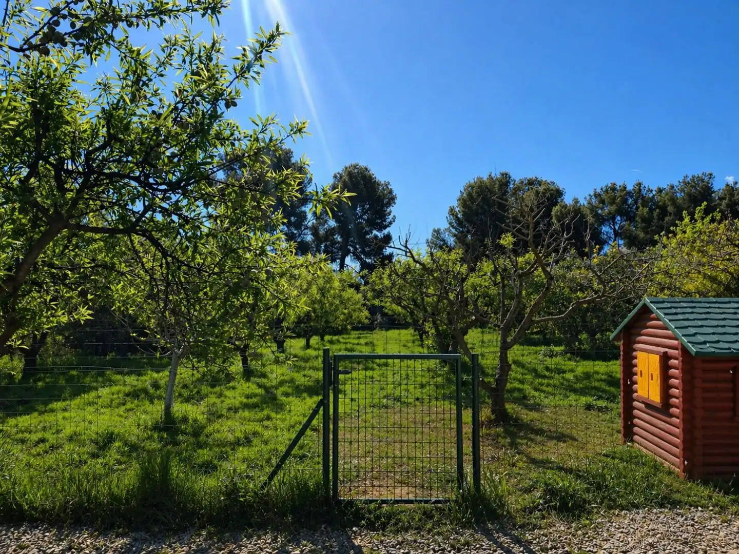 Chalet con piscina en venta en Carrer Dos de Maig 1, imagen 12
