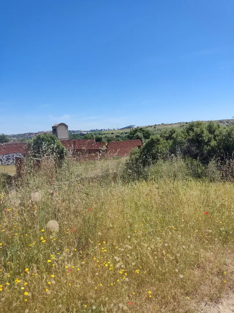 Land for sale in Navalcarnero