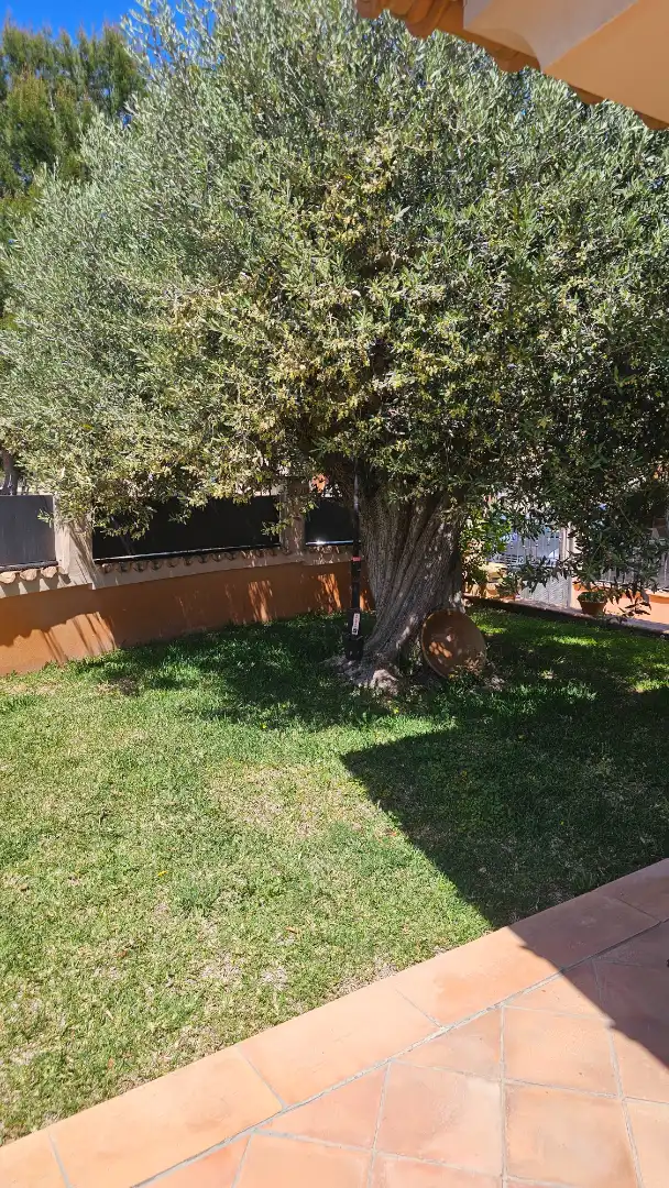 Jardí de Casa o xalet en venda en Marratxí amb Aire condicionat, Calefacció i Jardí privat