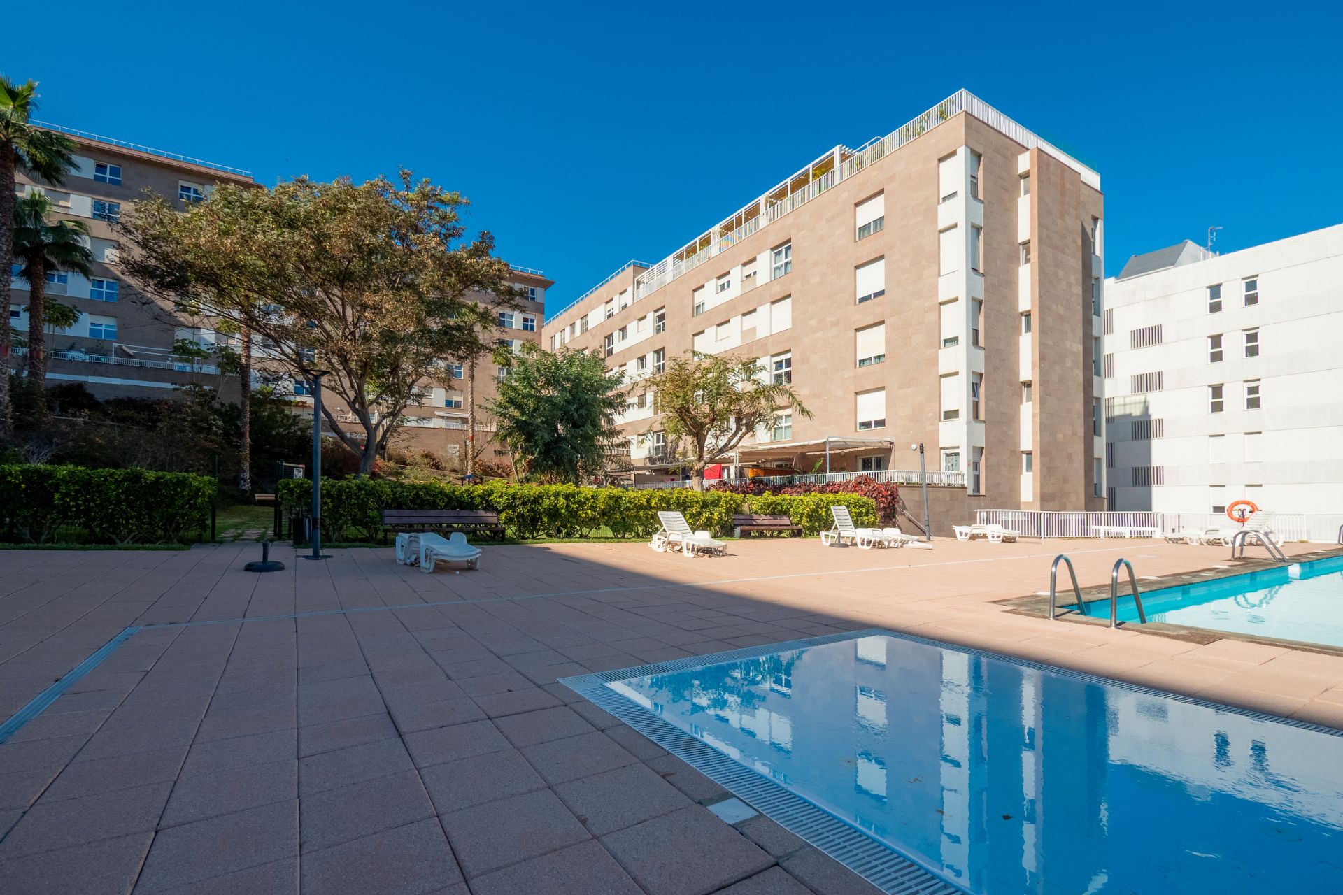 Swimming pool of Flat to rent in Las Palmas de Gran Canaria  with Storage room