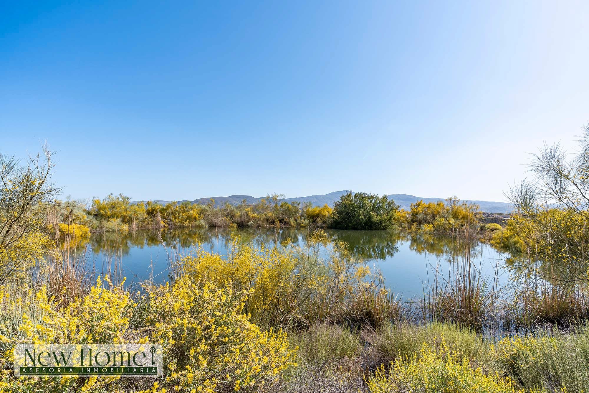 Vista exterior de Finca rústica en venta en Ugíjar