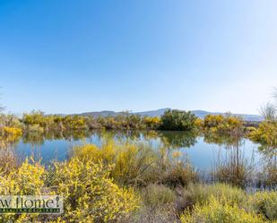 Exterior view of Country house for sale in Ugíjar