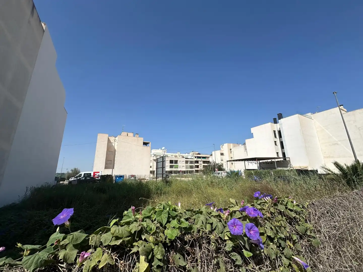 Terrenos y solares en venta en Formentera del Segura, imagen 3