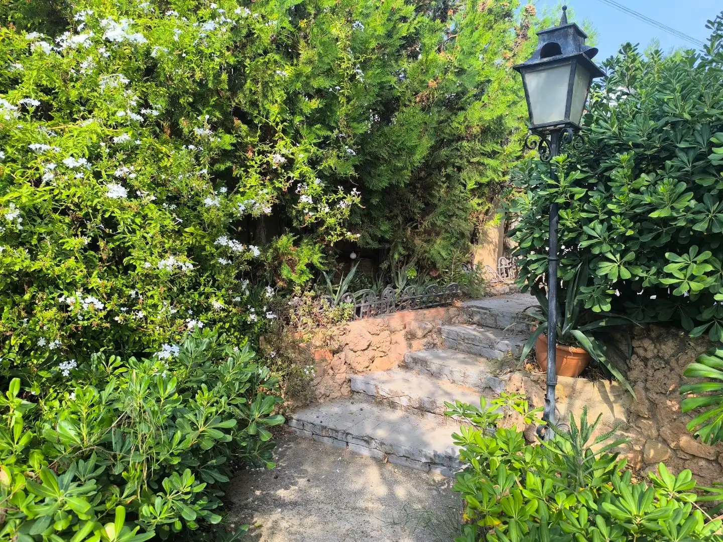 Jardí de Casa o xalet en venda en El Vedat - Santa Apolonia