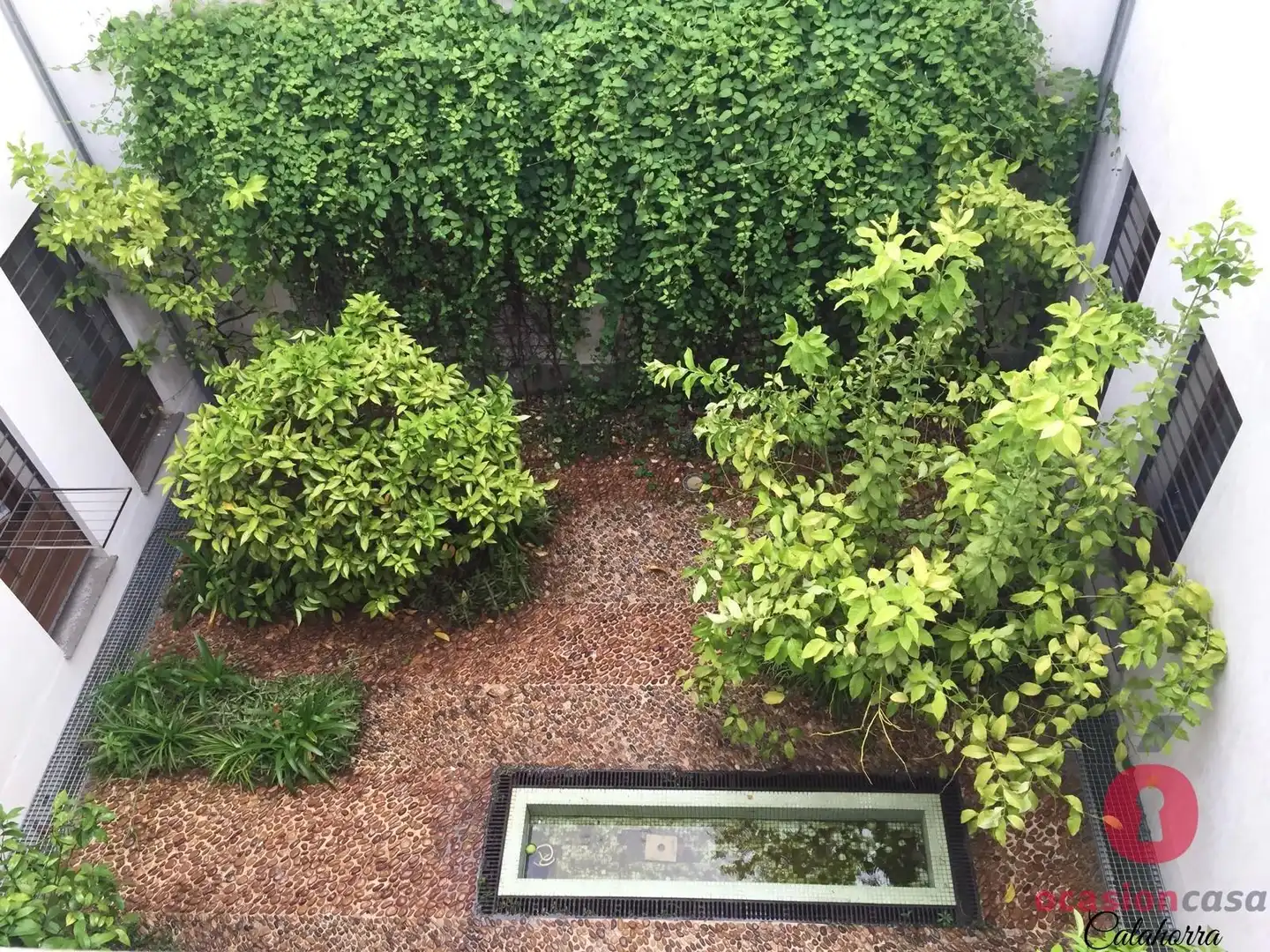 Jardí de Dúplex en venda en Córdoba amb Aire condicionat, Calefacció i Moblat