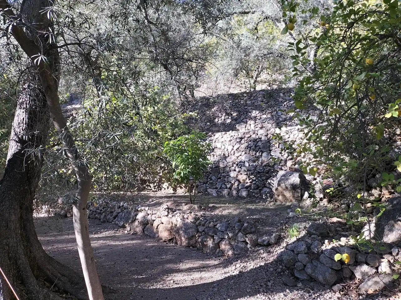 Finca rústica en venda en El Pinar