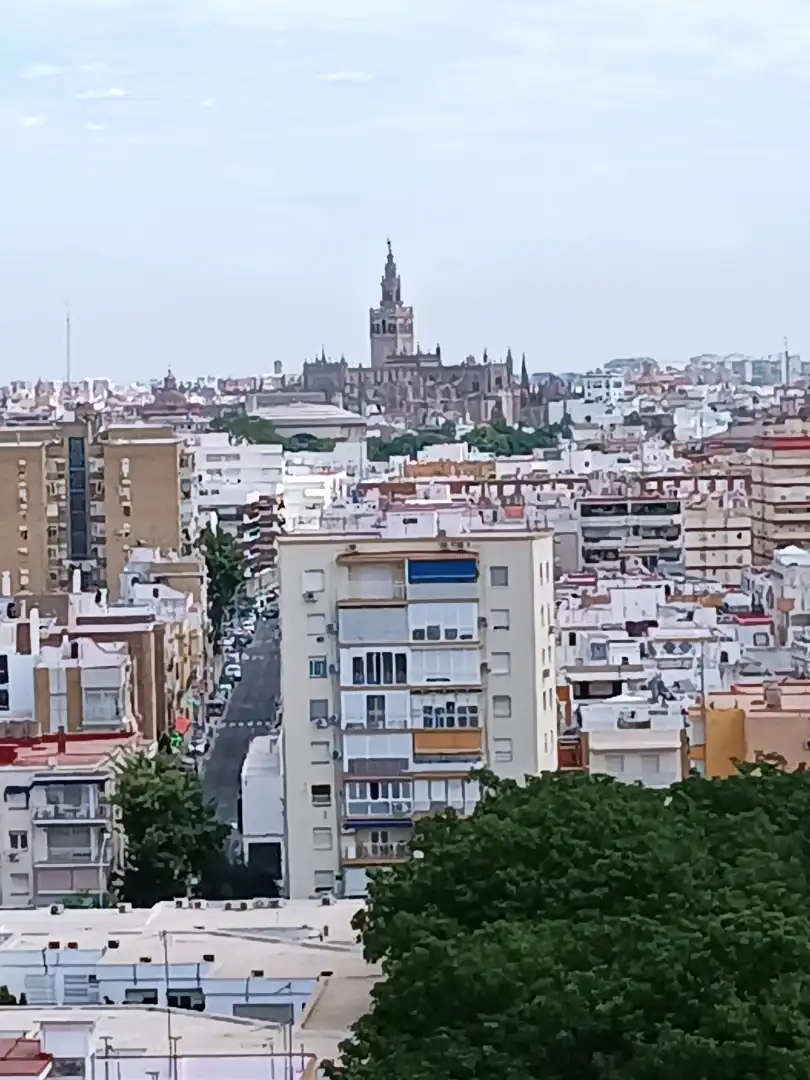 Vista exterior de Pis en venda en Sevilla amb Aire condicionat, Jardí privat i Terrassa