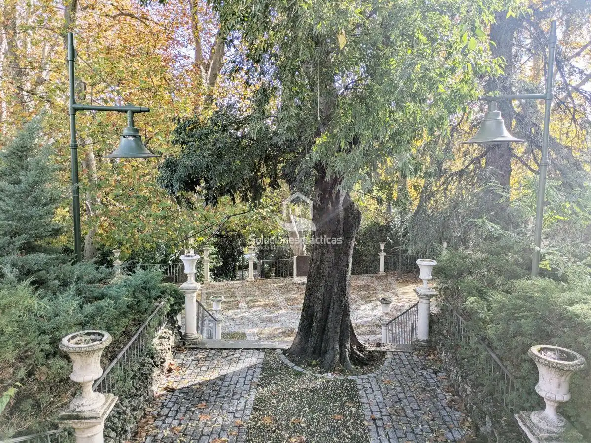 Jardí de Casa o xalet en venda en Jaén amb Aire condicionat, Calefacció i Terrassa