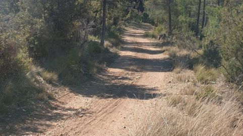 TERRENO RUSTICO EN REQUENA  8 HECTAREAS 80.000 METROS, imatge 5