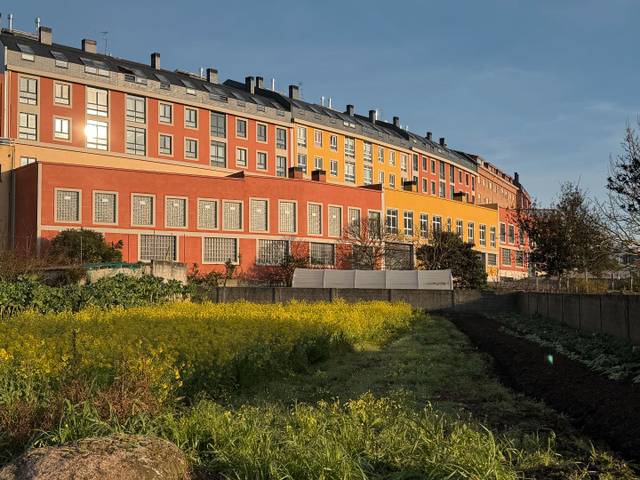 Local comercial en Venta en Avenida Alcalde Manuel Platas Varela, 116 en Oseiro