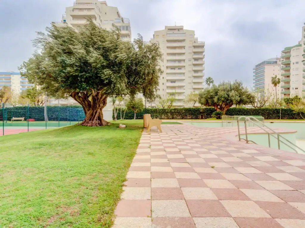 Wohnung mit Pool zum Verkauf in Paseo Maritim Neptu, imagen 29