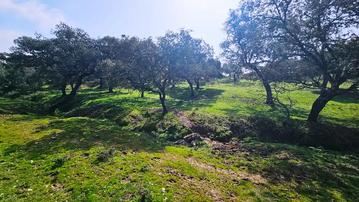 Terreni e lotti in vendita a Santa Olalla del Cala, imagen 16