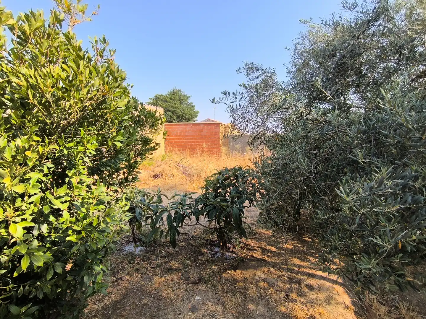 Casa o chalet en venta en Pozo de Urama con Calefacción, Jardín privado y Trastero
