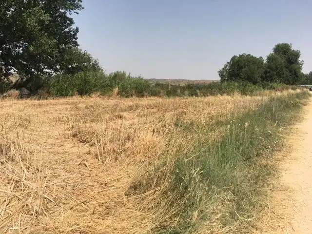 Rural land for sale in Morata de Tajuña, imagen 2