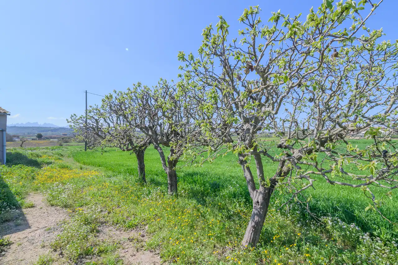 Finca rústica en venda en Manresa amb Calefacció, Jardí privat i Traster