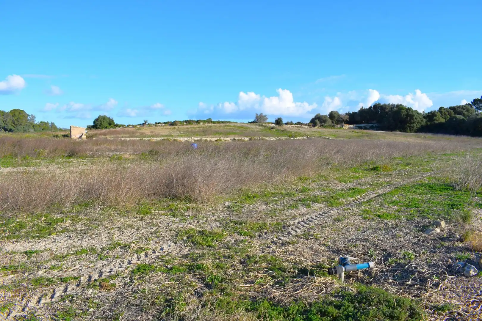 Residential land for sale in Muro, imagen 10