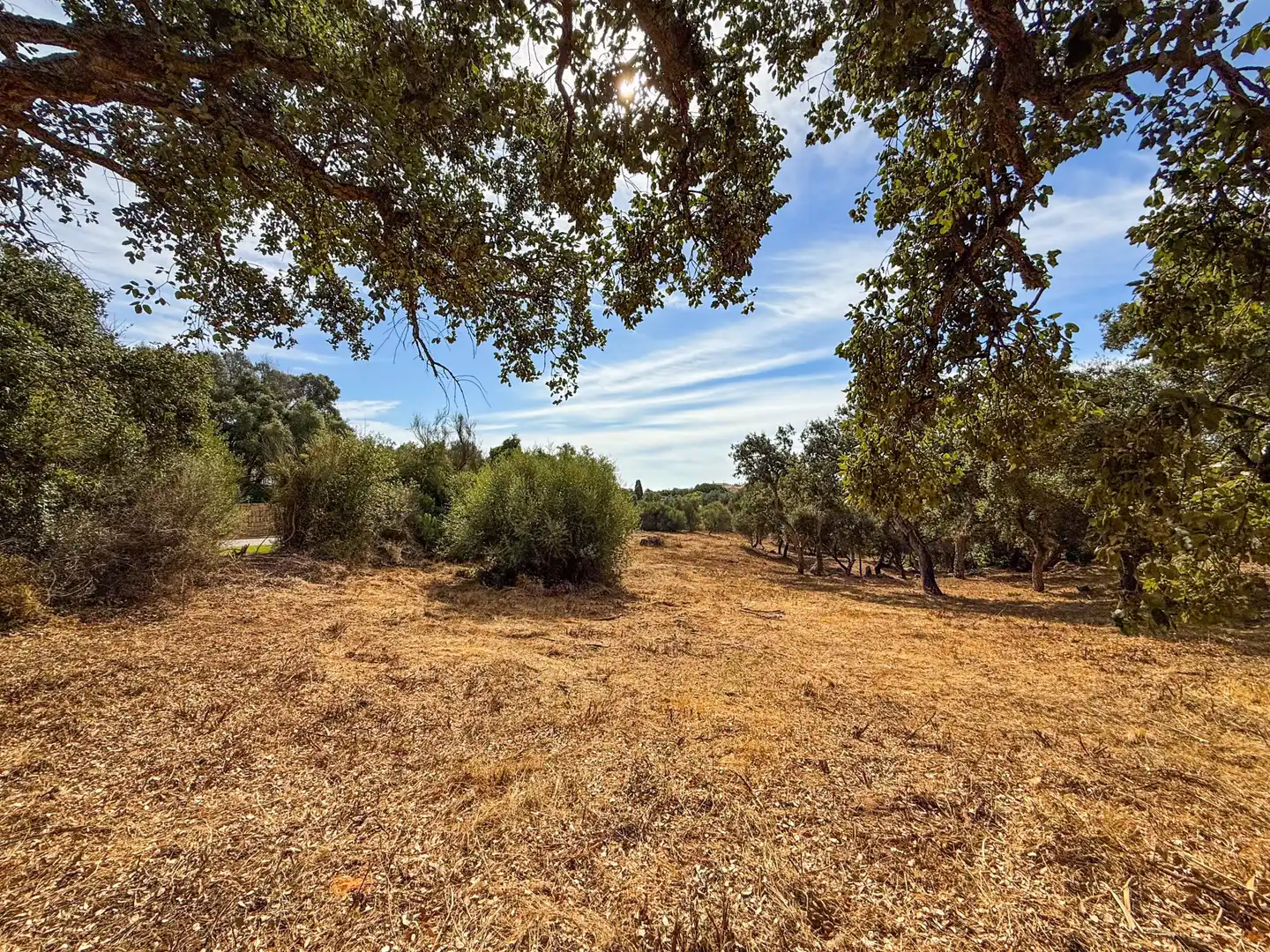 Grundstücke und Bauplätze zum Verkauf in Sotogrande Alto, imagen 8