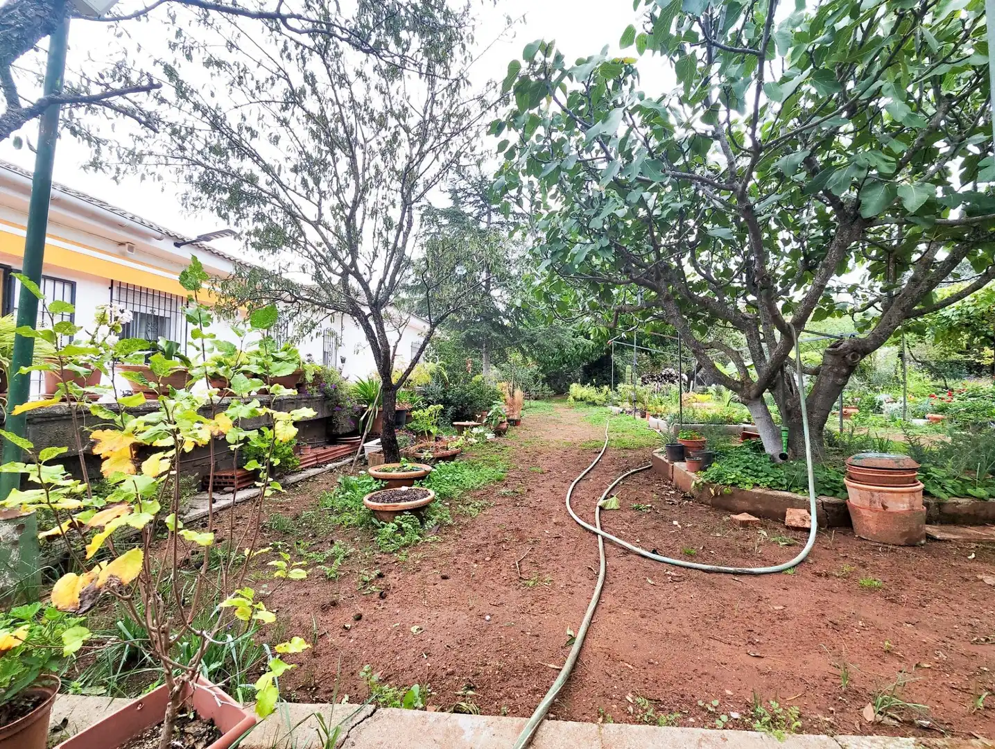 Casa o xalet en venda a CM-4110, PAU 2-600
