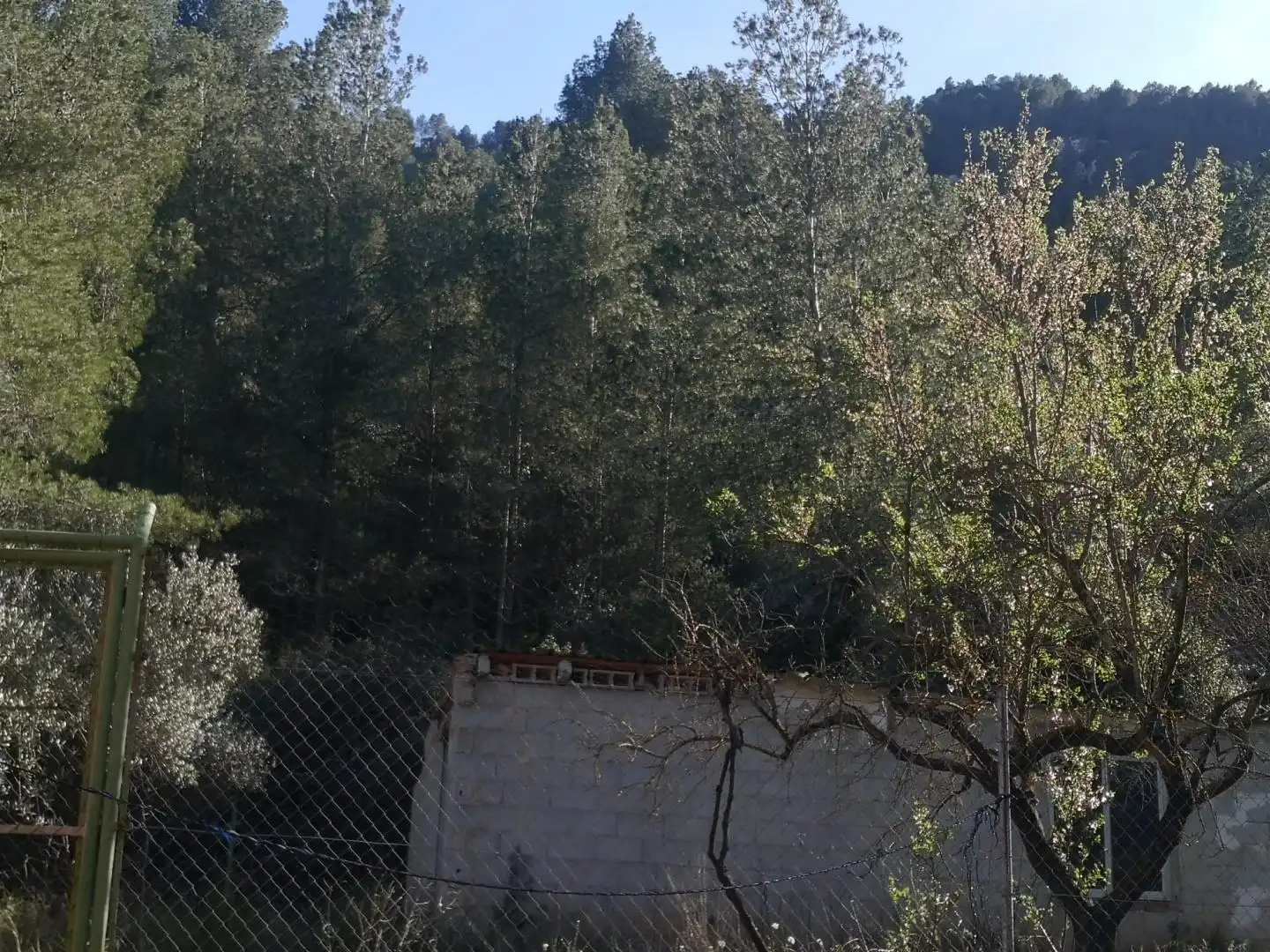 Finca rústica en venda en Muro de Alcoy amb Jardí privat, Terrassa i Traster