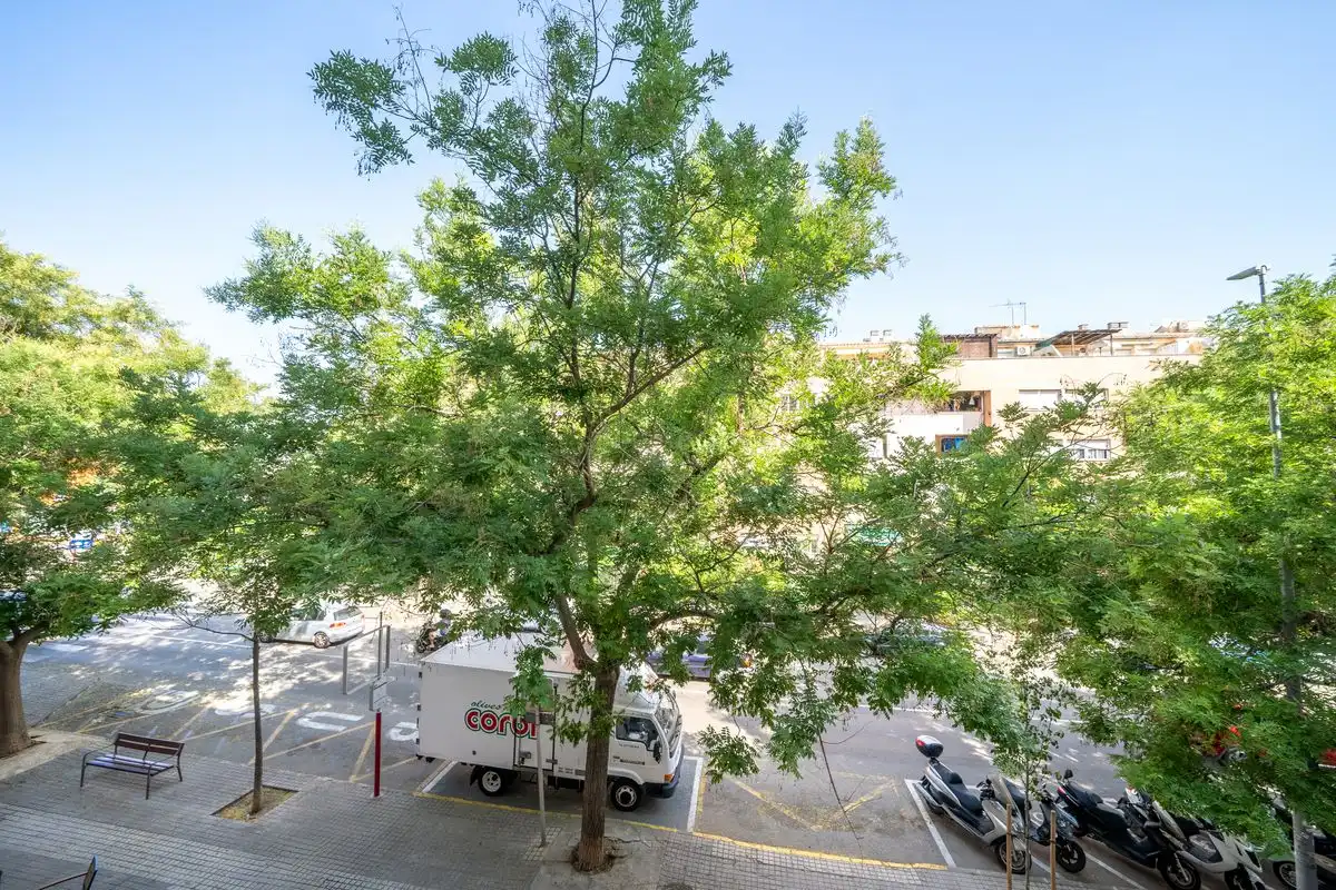 Piso con ascensor en venta en Avenida Miguel Hernández, imagen 32