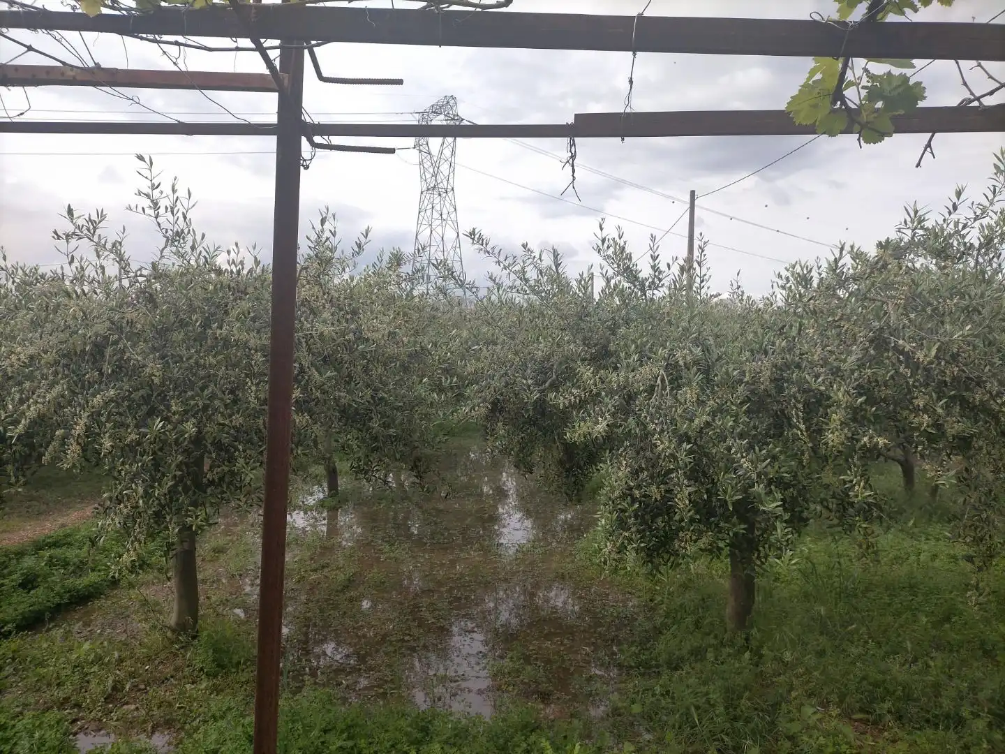 Terreno rustico in vendita a Detrás de la gasolinera Las Palmeras N/A