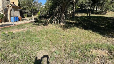 Terreno en alquiler en Sils, immagine 3
