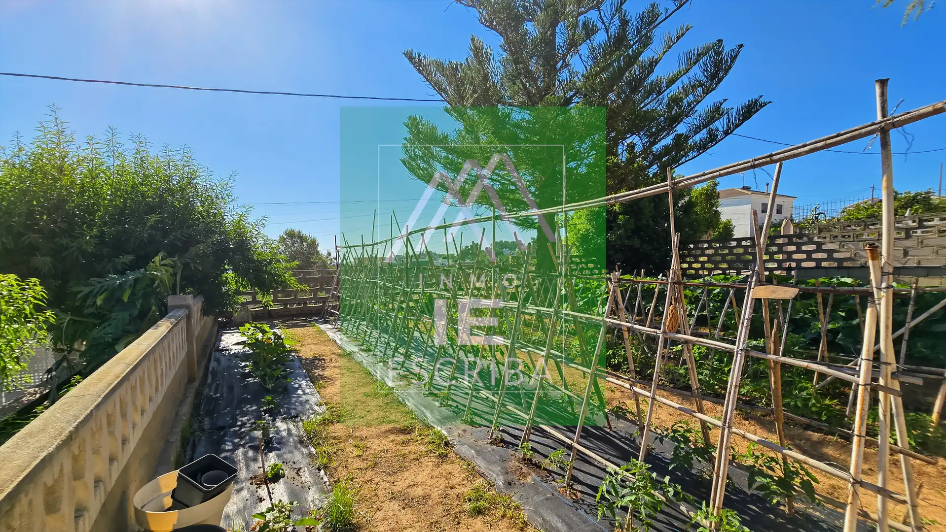 Jardín de Casa o chalet en venta en Catadau con Aire acondicionado, Calefacción y Jardín privado
