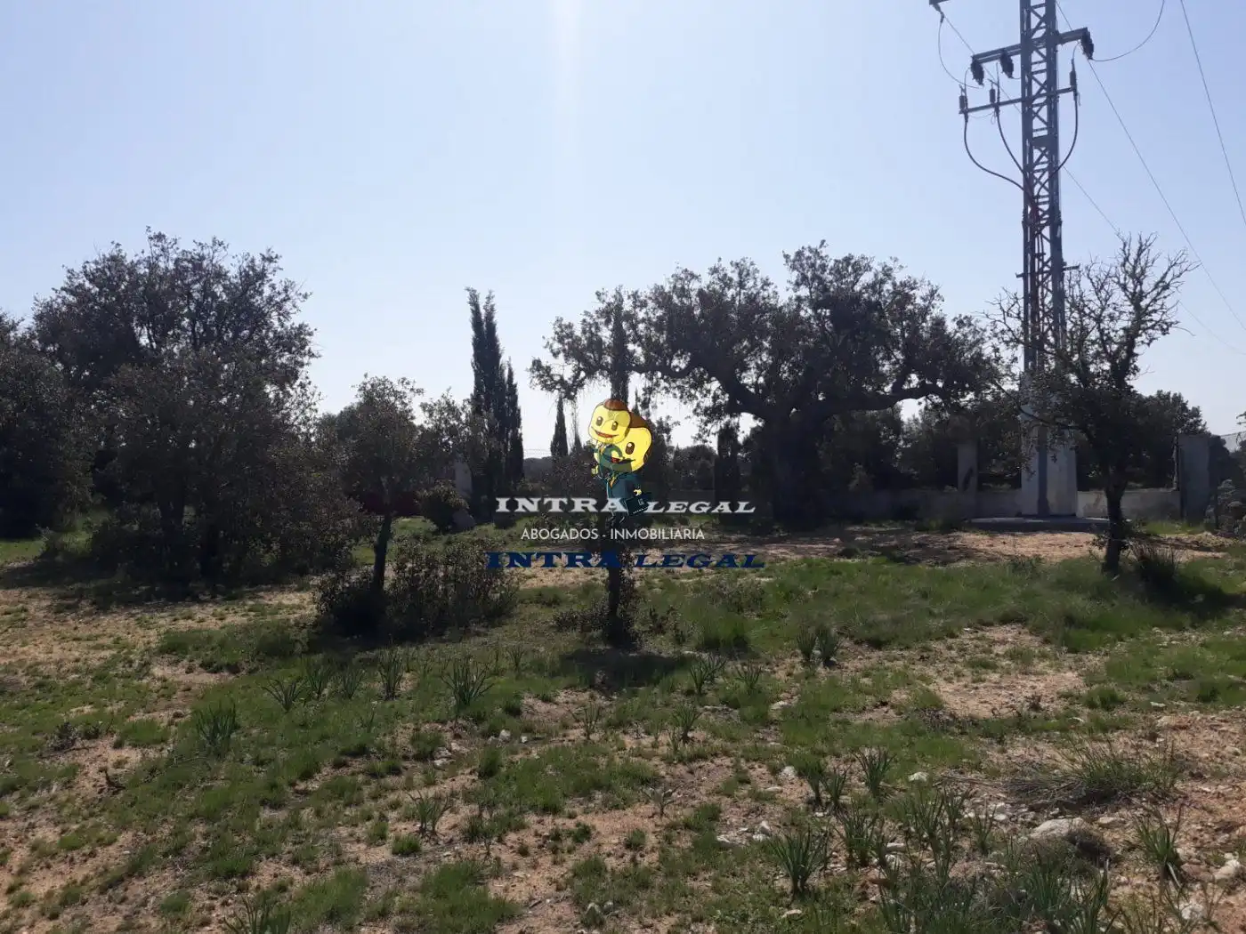 Terreno en venta en Buenavista